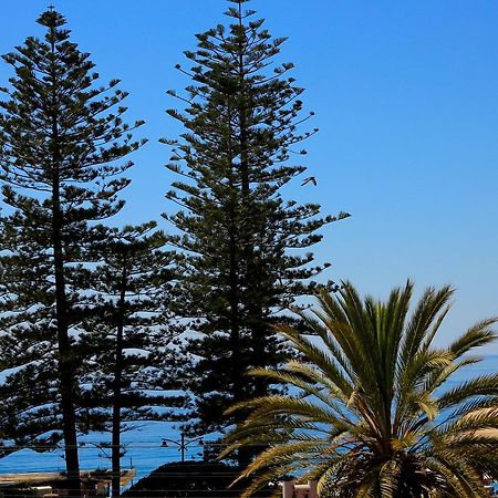 Hotel Elandra Bordighera Dış mekan fotoğraf